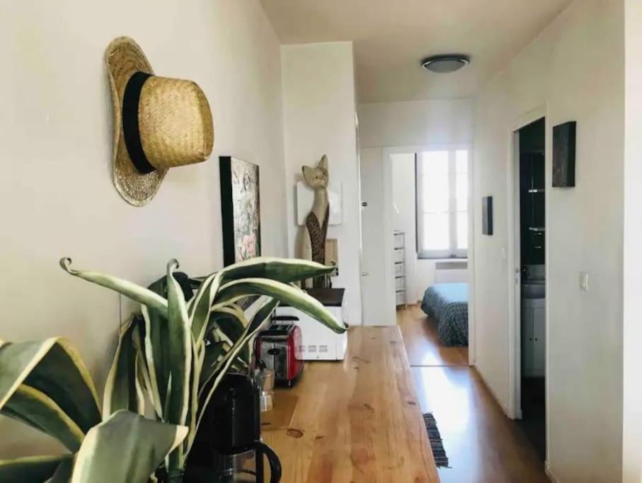 Appartement T2 Avec Vue Chateau การ์กาซอน ภายนอก รูปภาพ