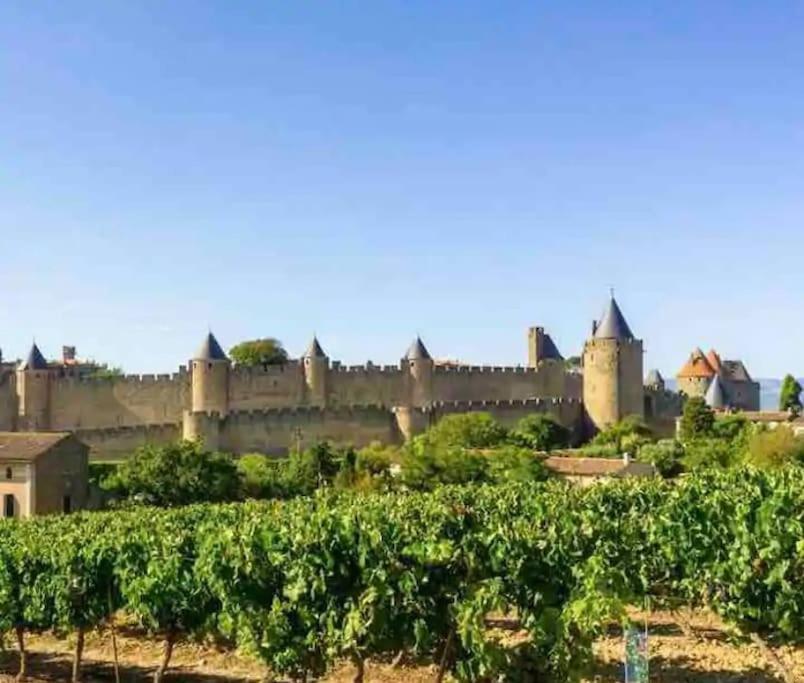 Appartement T2 Avec Vue Chateau การ์กาซอน ภายนอก รูปภาพ